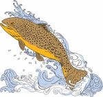 Brown Trout Swimming Up Turbulent Water Drawing Stock Photo