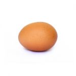 Egg Stock Photo