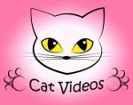 Cat Videos Indicates Audio Visual And Feline Stock Photo