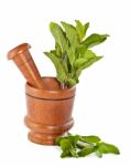 Fresh Mint Herb In Wooden Mortar With Pestle Stock Photo