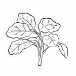 Isolated Watercress- Hand Drawn Illustration Stock Photo