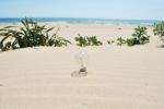 Lightbulb On Sand (global Warming) Stock Photo