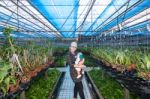 Mother And Her Son In The Greenhouse Stock Photo