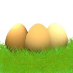 Brown Easter Eggs  Sitting On Green Grass Background Stock Photo