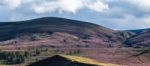 Heather On The Cairngorm Mountain Range Stock Photo