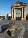 Bronze Sculptures Of An Adult And Young Giant Tortoise In Place Stock Photo