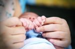 Hands Of A Baby In Mother's Hands Stock Photo