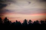 Silhouette Of Palm Trees At Sunset Stock Photo