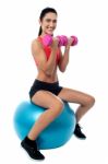 Fit Woman In Gym Working Out With Dumbbells Stock Photo