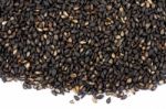 Black Sesame Stock Photo