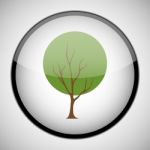 Tree In Circle Frame. Icon Concept Stock Photo