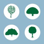 Tree Icon Set Stock Photo