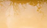 Background Of Muddy Water Reflection Of Grass In Water Stock Photo