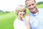 Affectionate Couple Smiling At Camera Stock Photo