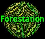 Forestation Word Shows Woodlands Woods And Trees Stock Photo