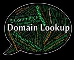 Domain Lookup Means Researcher Dominion And Search Stock Photo