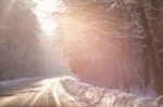 Snowy Winter Road In A Wood. Winter Forest Stock Photo