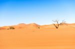 Sand Dune In The Namibian Desert Near Sossusvlei Stock Photo