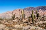 Colorful Valley Of Quebrada De Humahuaca, Central Andes Altiplan Stock Photo