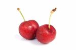 Two Cherries Stock Photo