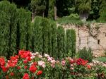 Granada, Andalucia/spain - May 7 : View Of The Alhambra Palace G Stock Photo