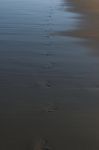 Sunshine Beach At Noosa, Sunshine Coast Stock Photo