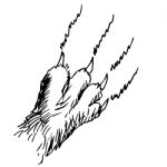 Cat Claw Doodle Hand Drawn Stock Photo