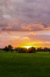 Beautiful Sunset Sky And Rice Field Stock Photo