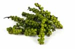 Green Peppercorns Stock Photo