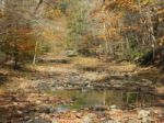 Autumn Bucks County, PA Creek Stock Photo