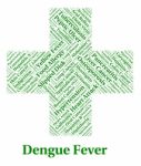 Dengue Fever Represents Poor Health And Affliction Stock Photo