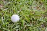 Golf Ball On The Lawn Stock Photo