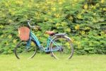 Vintage Bicycle With Flower Background Stock Photo