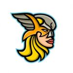 Valkyrie Warrior Mascot Stock Photo