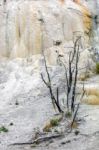 View Of Mammoth Hot Springs Stock Photo