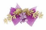 Ribbon Bow Of Flower Stock Photo