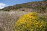 Remote Natural Landscape Stock Photo