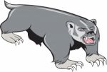 Badger Pouncing Cartoon Stock Photo