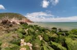 Isolated Beach Stock Photo