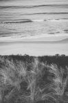 View Of Bruny Island Beach During The Day Stock Photo