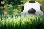 Soccer Football On Green Grass Field Stock Photo