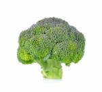 Fresh Broccoli Isolated On White Background Stock Photo