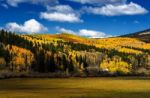 Colorful Fall Foliage Stock Photo