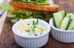 Fresh Vegetarian Sandwich With Garlic Cheese Dip Salad Stock Photo