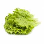 Bunch Of Fresh Green Lettuce On White Background Stock Photo