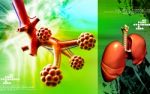 Alveoli Stock Photo