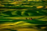 Palouse Hills In The Morning Stock Photo