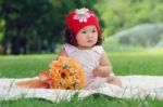 Asian Baby Stock Photo