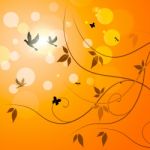 Birds Floral Indicates Petals Sunny And Florals Stock Photo