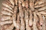 Taro Root Colocasia  Stock Photo